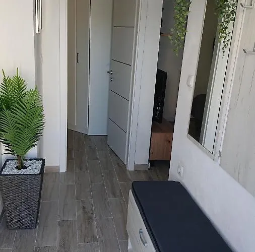 Amama * 브로다리카